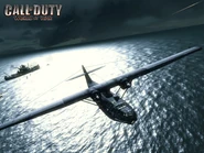 CodWaW wallpaper black cat