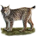 Item iberianlynx 01.png