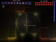 Terraria Whoopie Cushion and multi-purpose farm