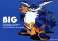 SA Big Original