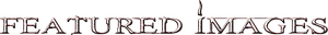 FA I