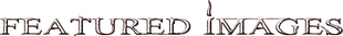 FA I