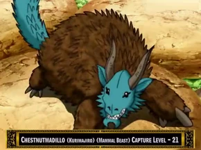 Chestnutmadillo