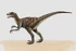 Velociraptor