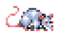AlbinoRat