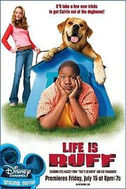 Lifei s Ruff