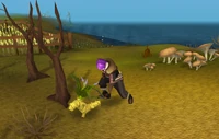 Wyrmwood catch
