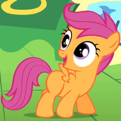 Scootaloo.png