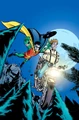 Robin Tim Drake 0106