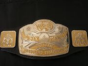 World Class 6-Man Tag Team Champion