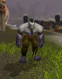 Image of Dragonmaw Blacksmith