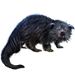Item binturong 01.png