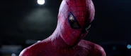Spider-Man Garfield-2