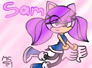 SamPTs
