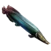 Item giantarapaima 01