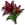 Landini Lilies-icon