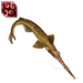 Saw Shark