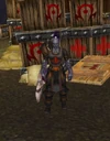 Dragonmaw Guard