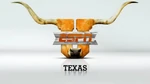 Texas
