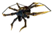Sicariusicon