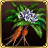 Mandrake