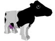 VE Cow