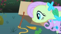 Fluttershy setting a trap S01E26