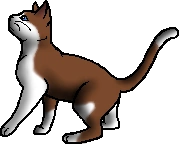 Brightwhisker.deputy