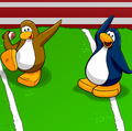 Football Field Background.png