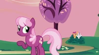 Big Mac Cheerilee moment ruined 4 S2E17
