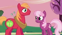 Big Mac Cheerilee moment ruined 6 S2E17