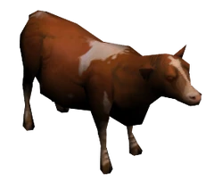 VB brahmin