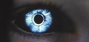 Hyb
