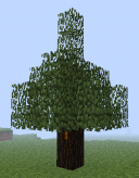 128px-Rubber Tree