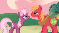 Cheerilee and Big McIntosh look into each other's eyes S2E17