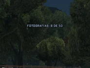 García4