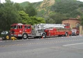 IFD.jpg