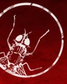 Red fly studio.jpg