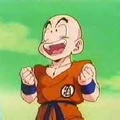 WikiKrillin2
