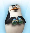 Skipper-madagascar-penguin