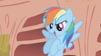 Rainbow Dash attempting to boost morale S1E7