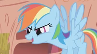 Rainbow Dash talks to the main 6 S1E07