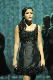 http://glee.wikia