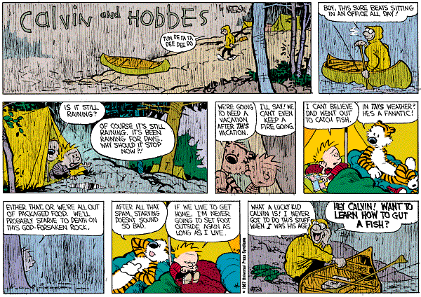 Calvin & Hobbes, Camping
