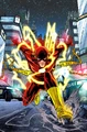 Flash 0007