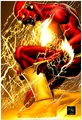 Flash 0020
