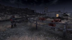 Midnight Ranch Attacks