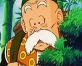 Grandpa Gohan2