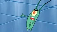 Plankton4