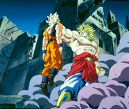 DBZ6 Large